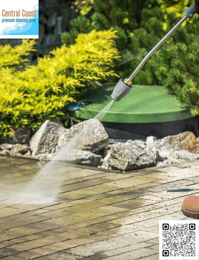 Who offers surface disinfection services in The Entrance?