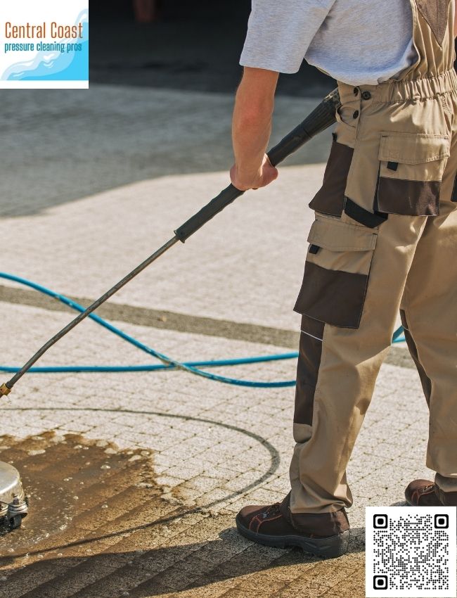 Are soft washing techniques used in Terrigal?