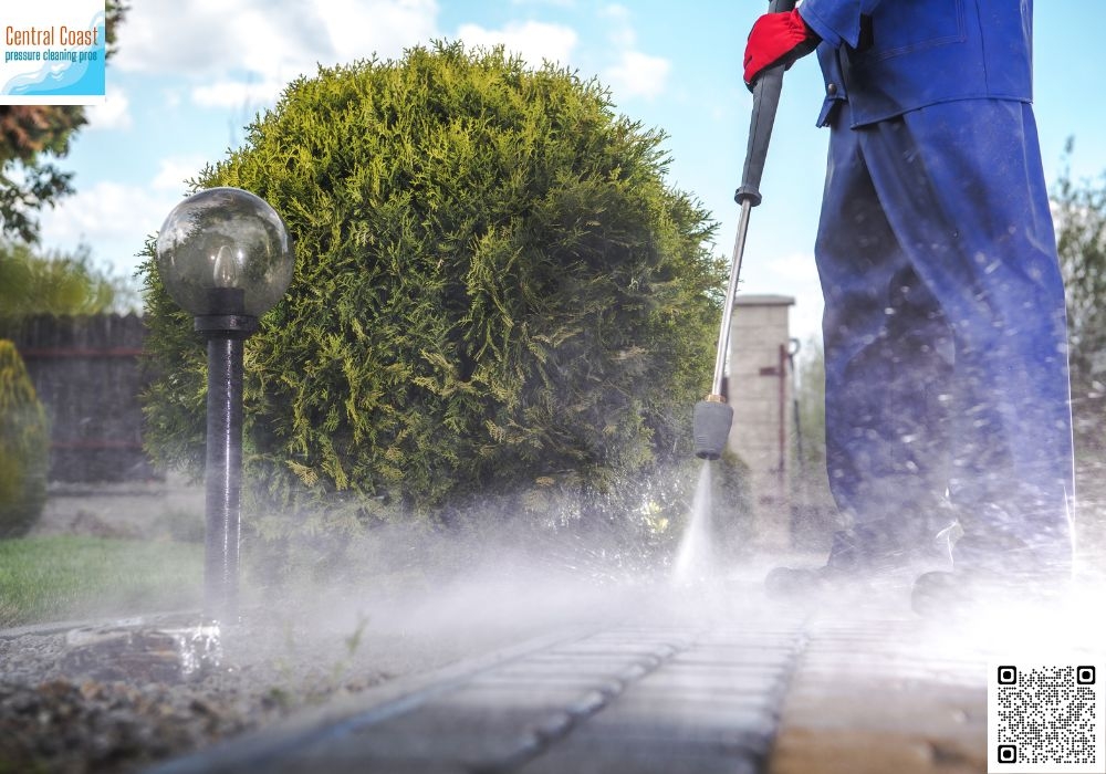 Health-Focused Cleaning Terrigal