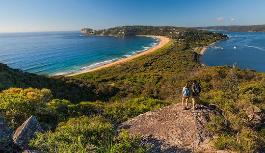 Healthcare and Telecommunications on the Central Coast: Access and Services