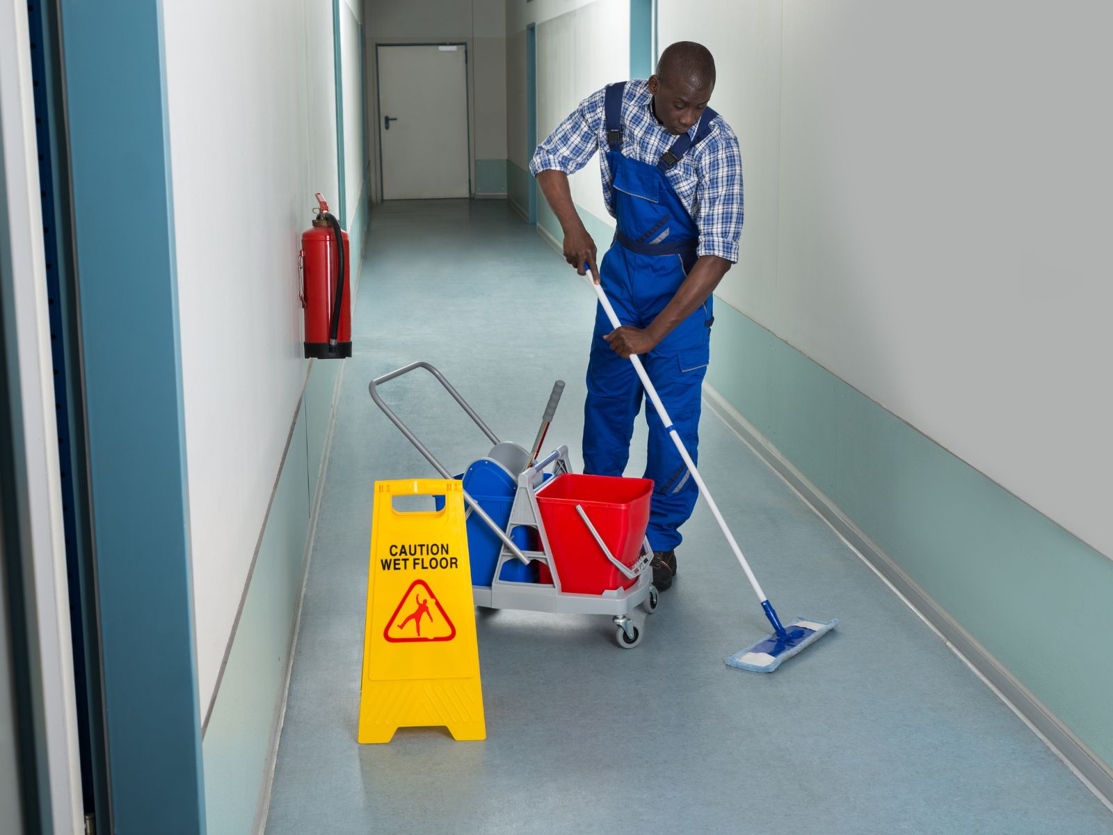 Professional Home Cleaning for Busy Lifestyles  
