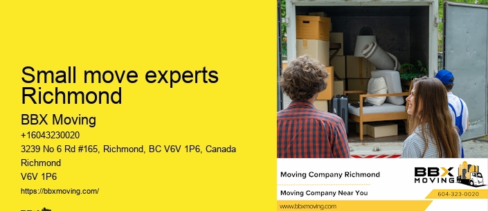 Small move experts Richmond