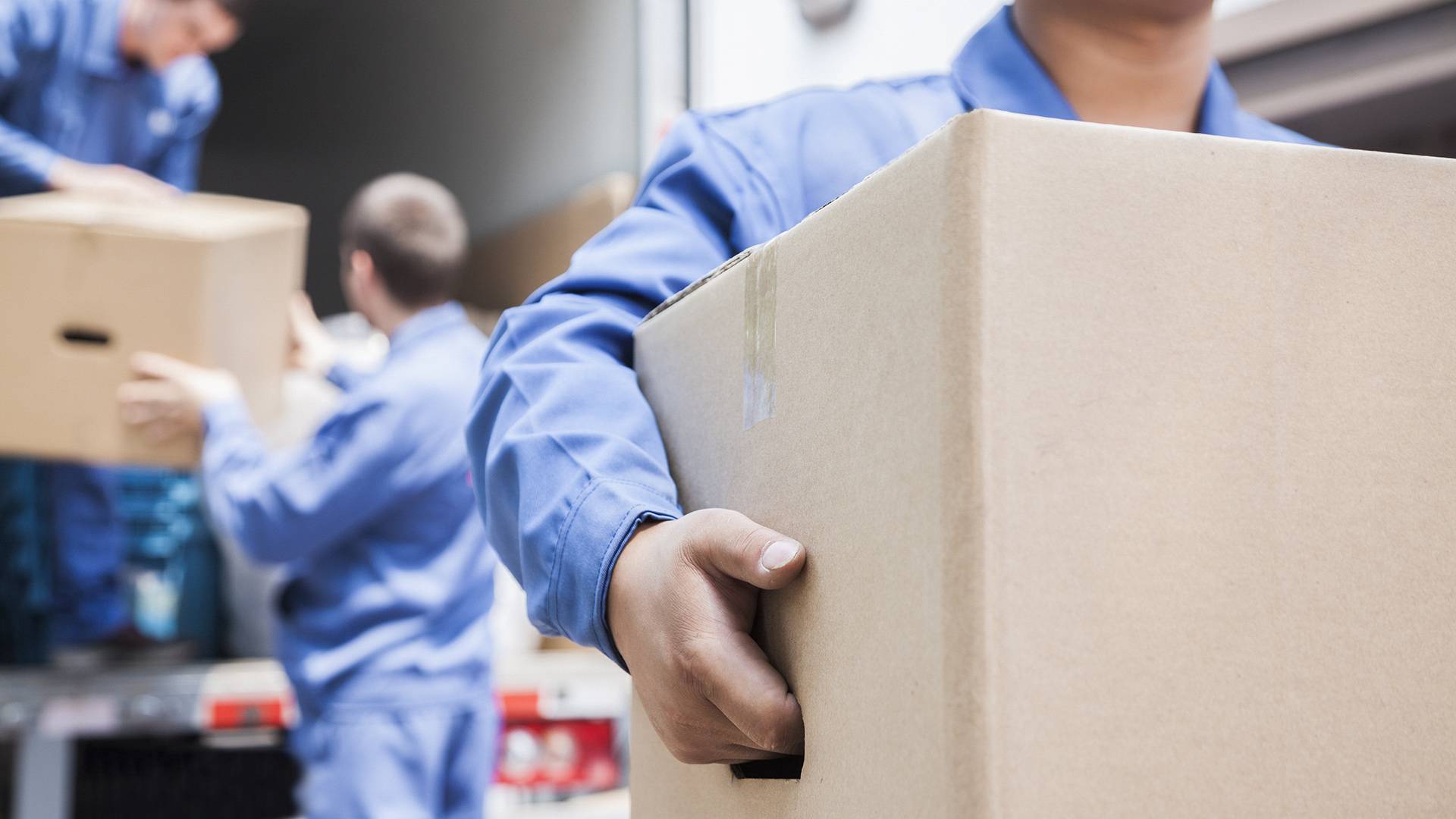 Licensed And Insured Movers Senior Moving Services Langley