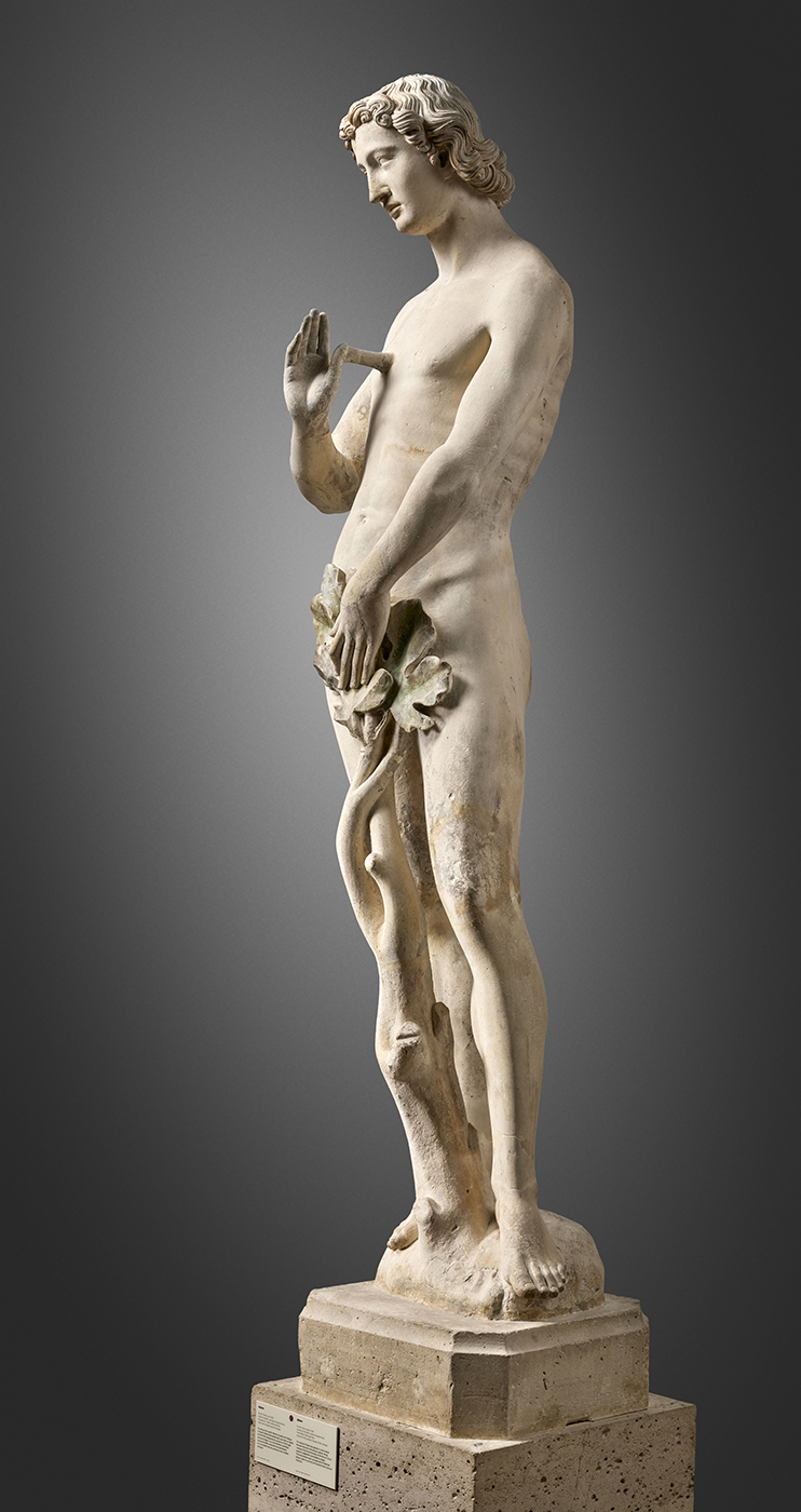 Adam