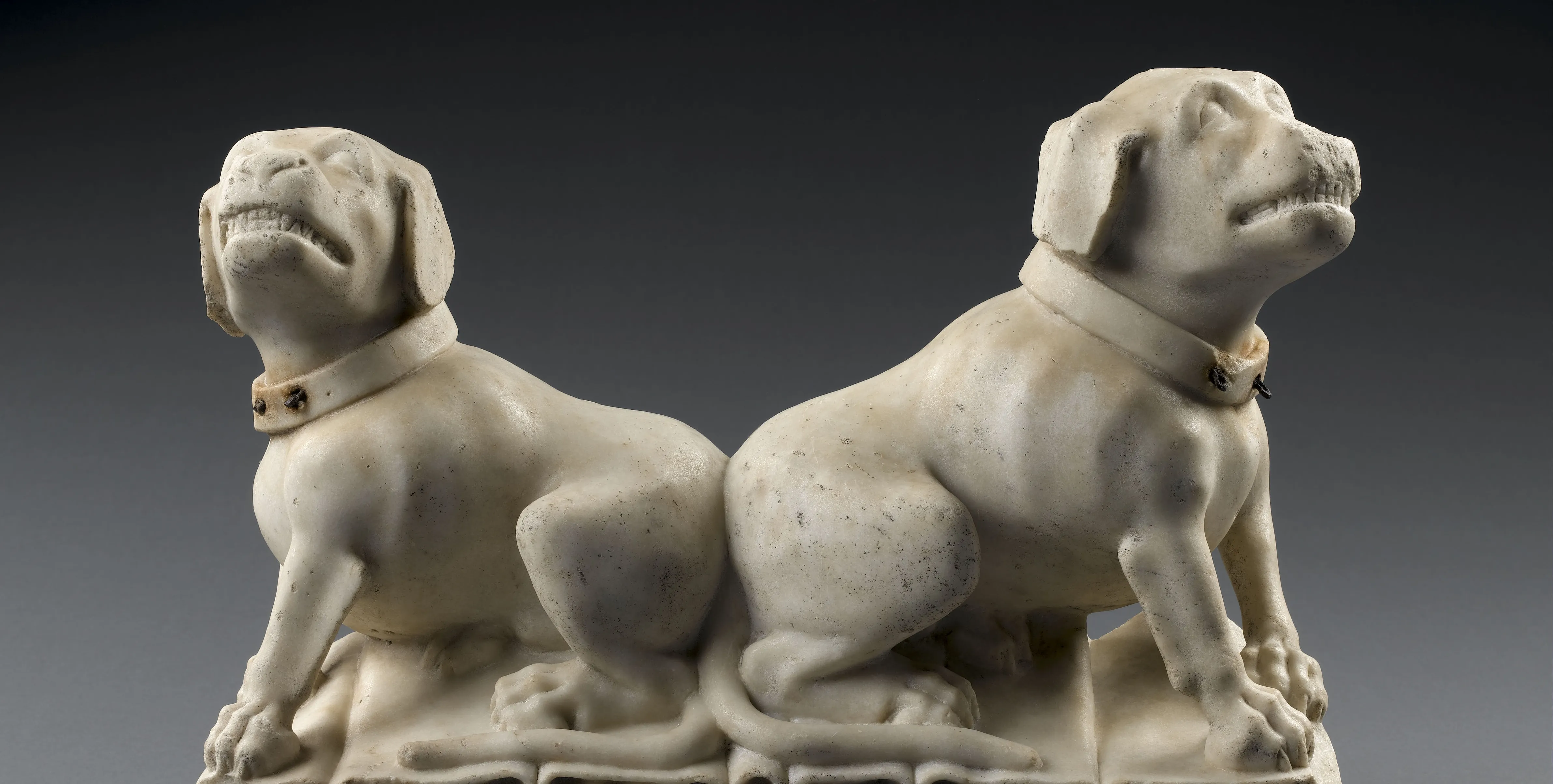 Fragment de gisant, chiens, Cl. 19301