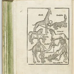 Book page with an illustration depicting wild and fantastical animals, including a unicorn. Front view.