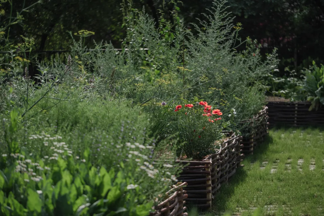 Le jardin public du musée rénové en 2025