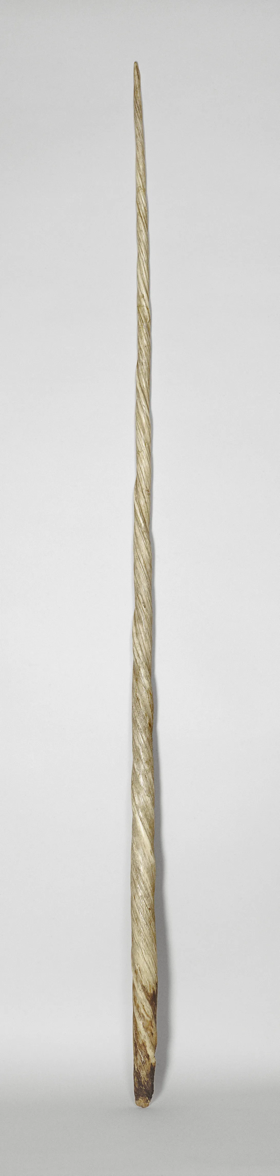 Twisted ivory object with an elongated and pointed shape. Front view.