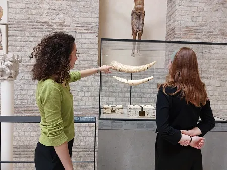 Une étudiante de profil en pull vert présente un olifant à une visiteuse de dos vêtue de noir dans la salle 3 du musée. 