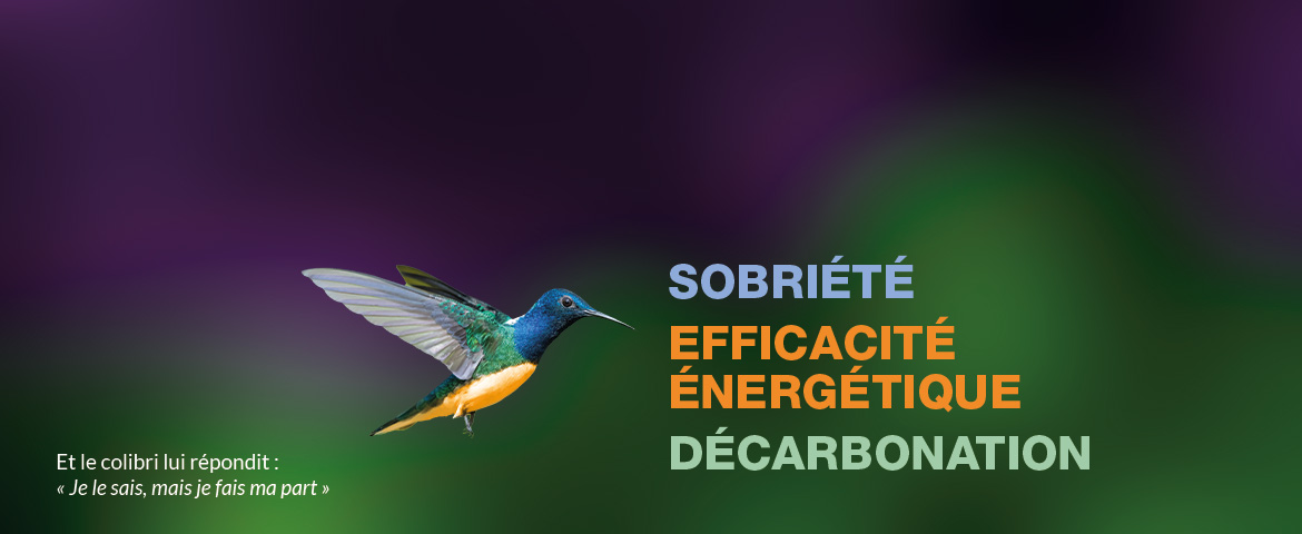 accueil-colibri-2.jpg
