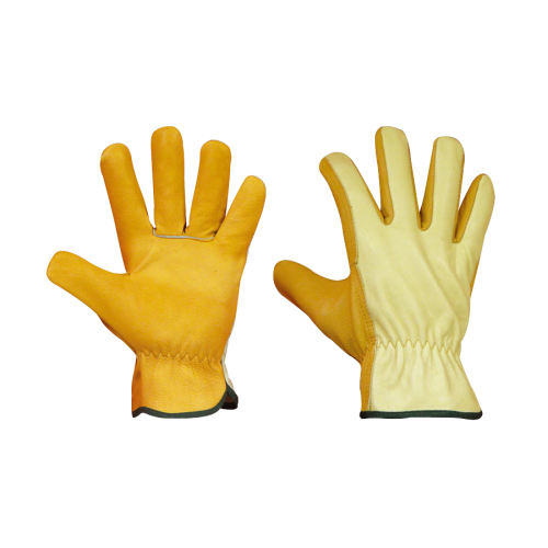 Gants cuir traités hydrofuge T 10