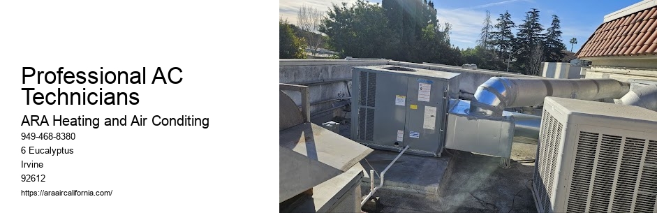 Professional AC Technicians