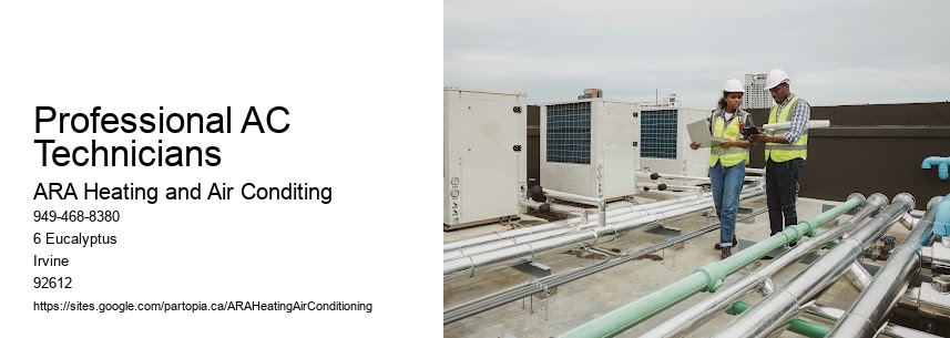 Professional AC Technicians
