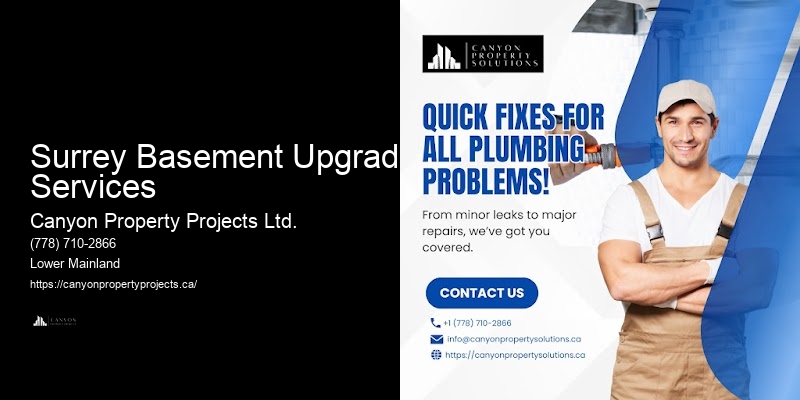 Surrey Basement Upgrade Services
