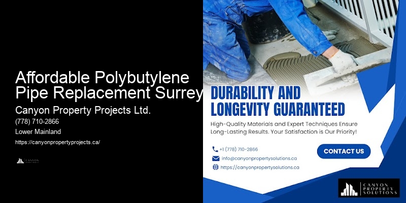 Best Polybutylene Plumbing Replacement Near Me Affordable Polybutylene Pipe Replacement Surrey