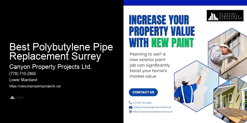 Expert Polybutylene Pipe Leak Services Best Polybutylene Pipe Replacement Surrey