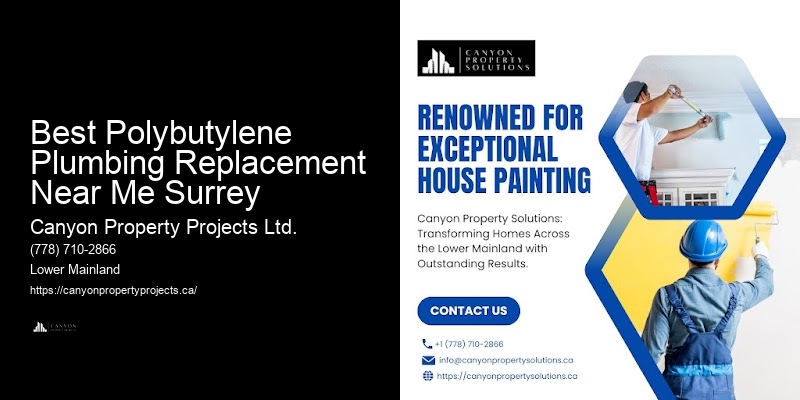 Detailed Polybutylene Replacement Service Best Polybutylene Plumbing Replacement Near Me Surrey