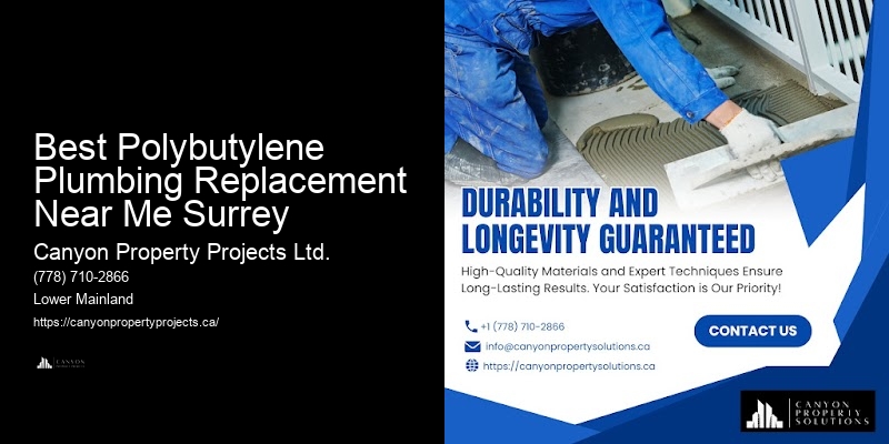 Best Polybutylene Plumbing Replacement Near Me Surrey Plumbing Solutions for Polybutylene