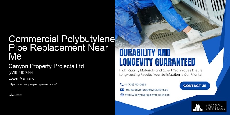 Expert Polybutylene Pipe Leak Services Commercial Polybutylene Pipe Replacement Near Me