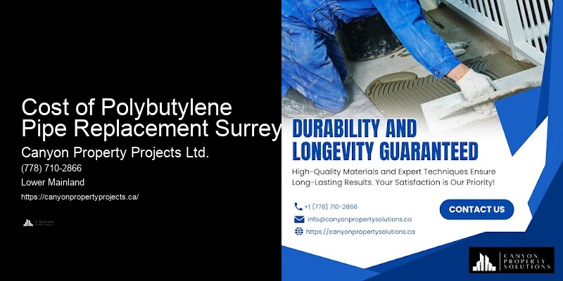 Cost of Polybutylene Pipe Replacement Surrey Residential Polybutylene Pipe Replacement
