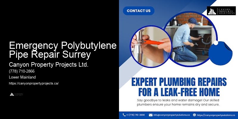 Reliable Polybutylene Pipe Replacement and Repair Near Me