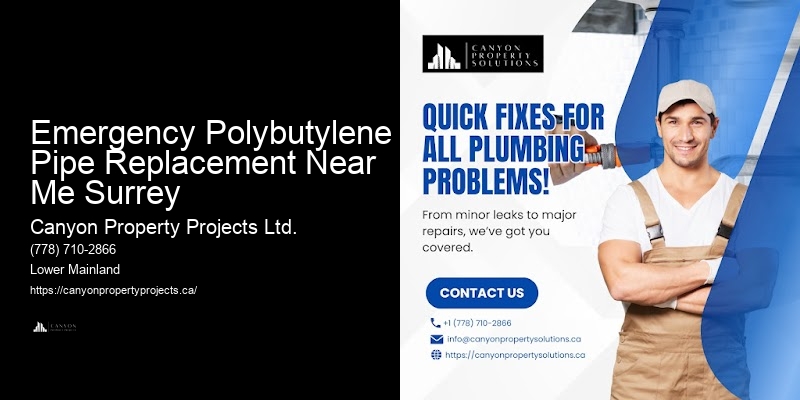 Polybutylene Pipe Maintenance Emergency Polybutylene Pipe Replacement Near Me Surrey