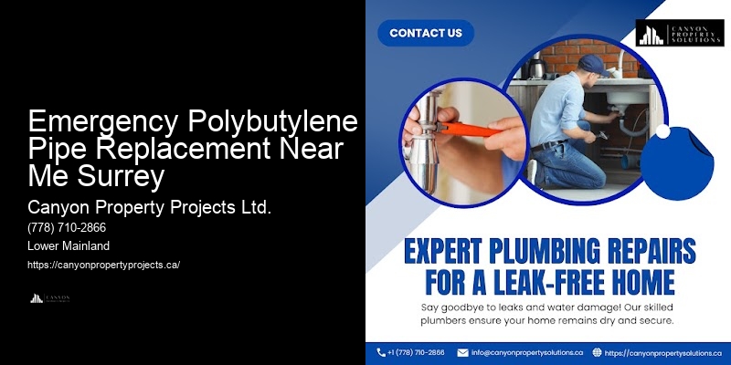 Polybutylene Plumbing Guarantees Emergency Polybutylene Pipe Replacement Near Me Surrey