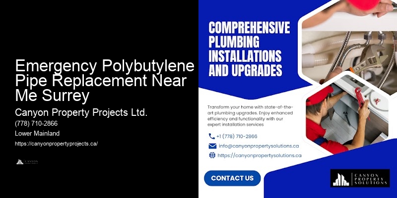 Polybutylene Pipe Replacement for Homes Emergency Polybutylene Pipe Replacement Near Me Surrey