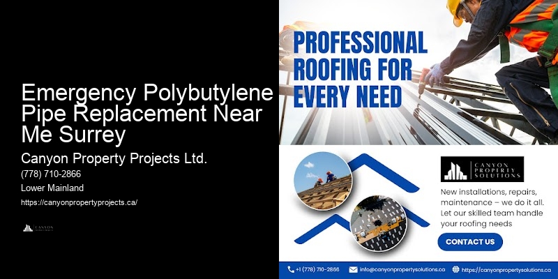 Polybutylene Pipe Replacement Recommendations Emergency Polybutylene Pipe Replacement Near Me Surrey