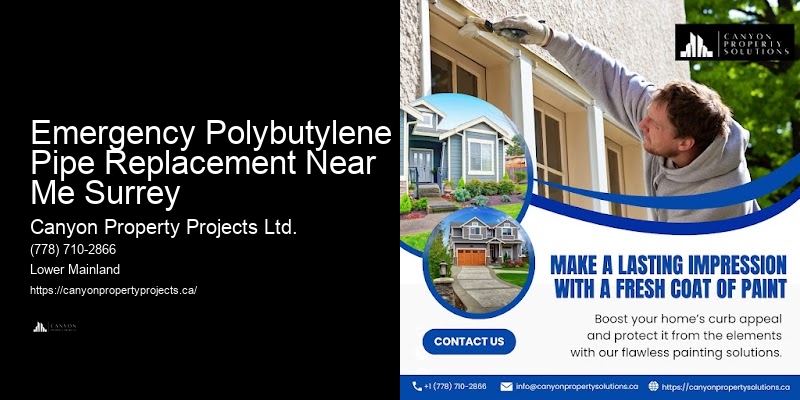 Affordable Polybutylene Pipe Inspection Emergency Polybutylene Pipe Replacement Near Me Surrey