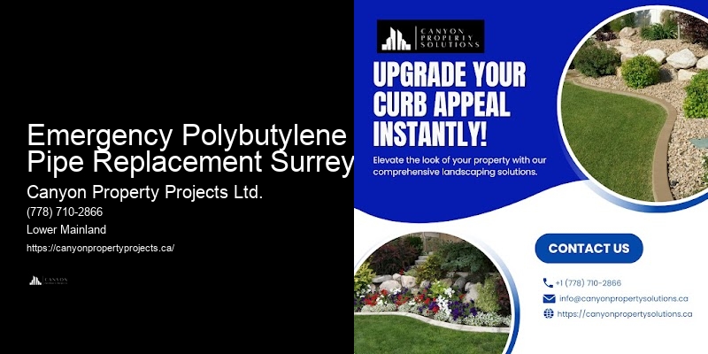 Best Value Polybutylene Pipe Replacement Emergency Polybutylene Pipe Replacement Surrey