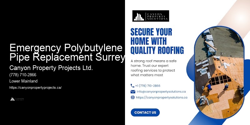 Polybutylene Plumbing Safety Guidelines Emergency Polybutylene Pipe Replacement Surrey
