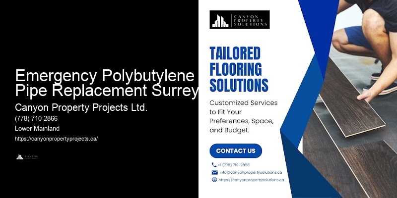 Polybutylene Plumbing Replacement Plan Emergency Polybutylene Pipe Replacement Surrey