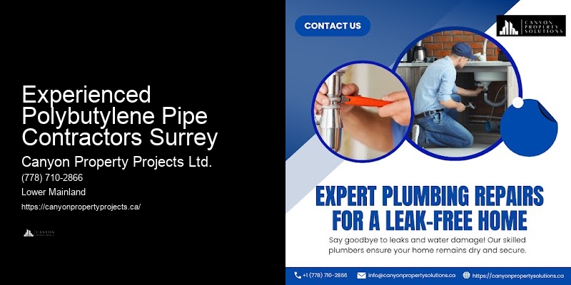 Home Value Increase with Polybutylene Replacement Experienced Polybutylene Pipe Contractors Surrey