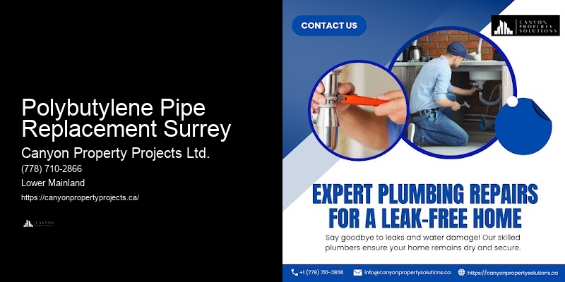 Polybutylene Pipe Replacement Near Me Polybutylene Pipe Replacement Surrey