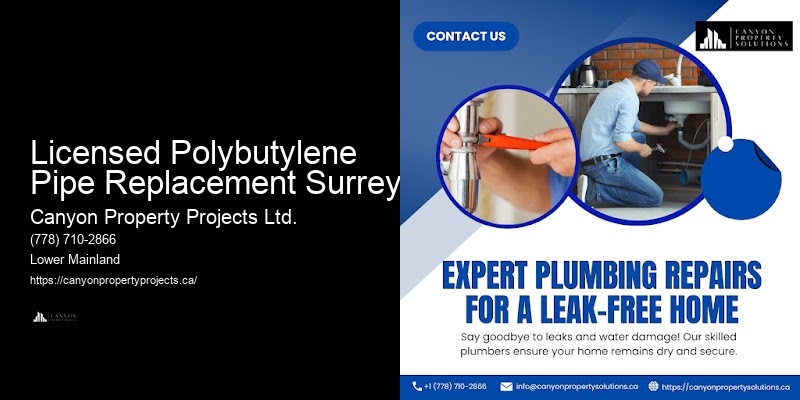 Affordable Polybutylene Pipe Inspection Licensed Polybutylene Pipe Replacement Surrey