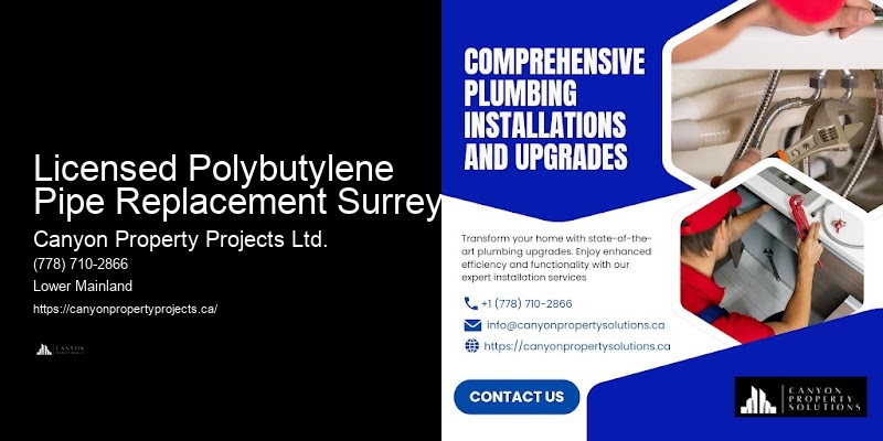 Emergency Polybutylene Pipe Replacement Near Me Licensed Polybutylene Pipe Replacement Surrey