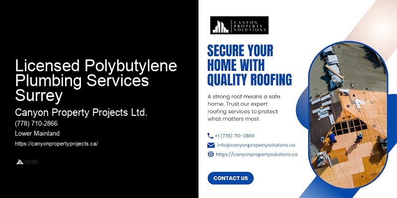 Best Polybutylene Pipe Replacement Practices Licensed Polybutylene Plumbing Services Surrey