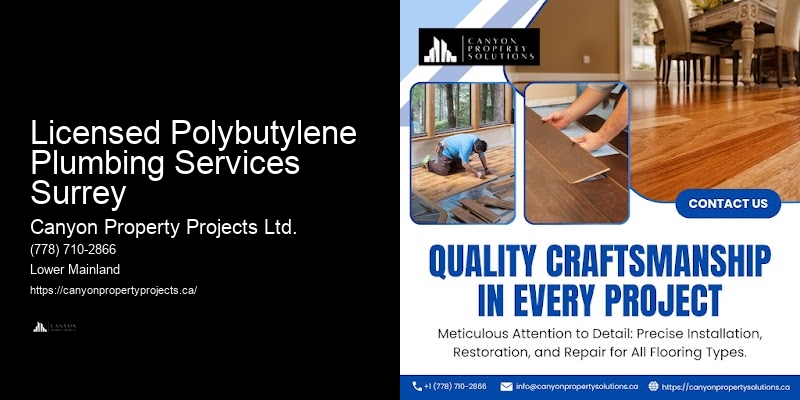 Best Polybutylene Replacement Companies Licensed Polybutylene Plumbing Services Surrey
