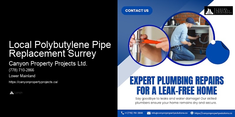 Polybutylene Pipe Plumbing Services Local Polybutylene Pipe Replacement Surrey