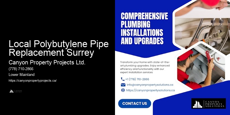 Effective Polybutylene Pipe Maintenance Local Polybutylene Pipe Replacement Surrey
