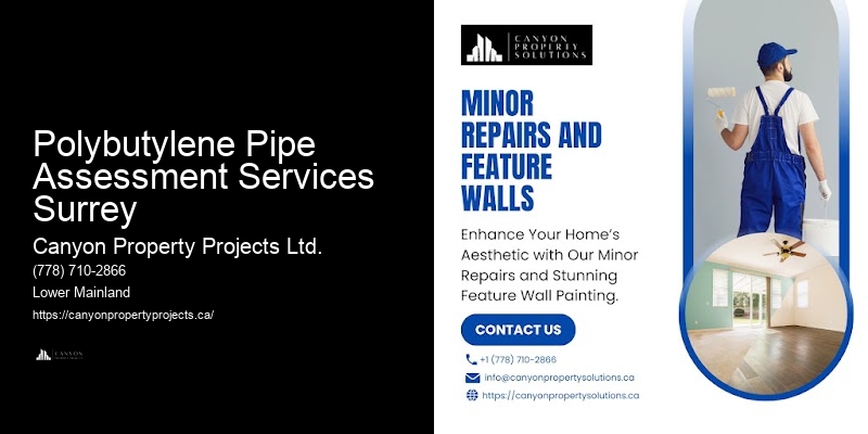 Polybutylene Pipe Replacement Consultation Services Polybutylene Pipe Assessment Services Surrey