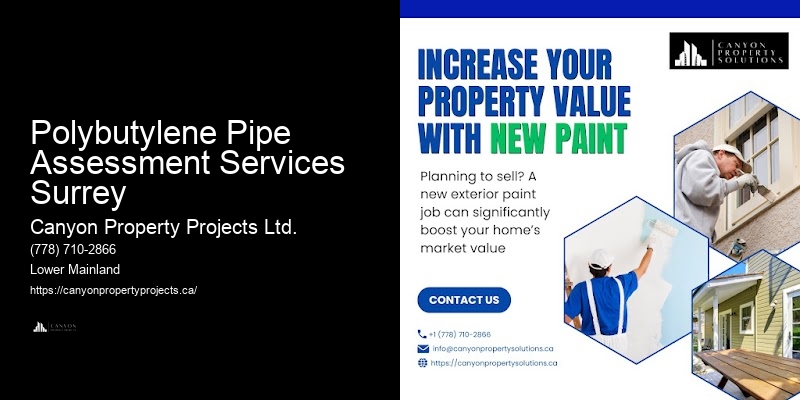 Professional Pipe Replacement for Polybutylene Polybutylene Pipe Assessment Services Surrey