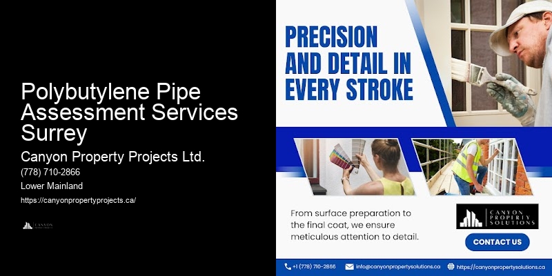 Polybutylene Replacement for New Homeowners Polybutylene Pipe Assessment Services Surrey