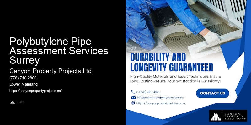 Advanced Polybutylene Pipe Replacement Polybutylene Pipe Assessment Services Surrey