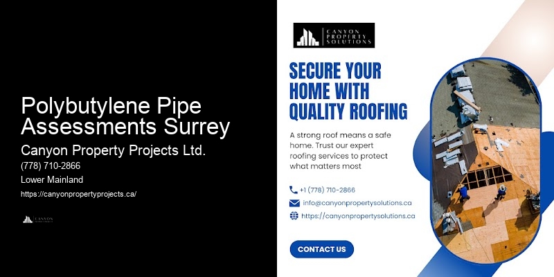 Polybutylene Plumbing Recommendations Polybutylene Pipe Assessments Surrey