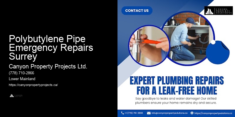 Polybutylene Plumbing Replacements for Safety Polybutylene Pipe Emergency Repairs Surrey