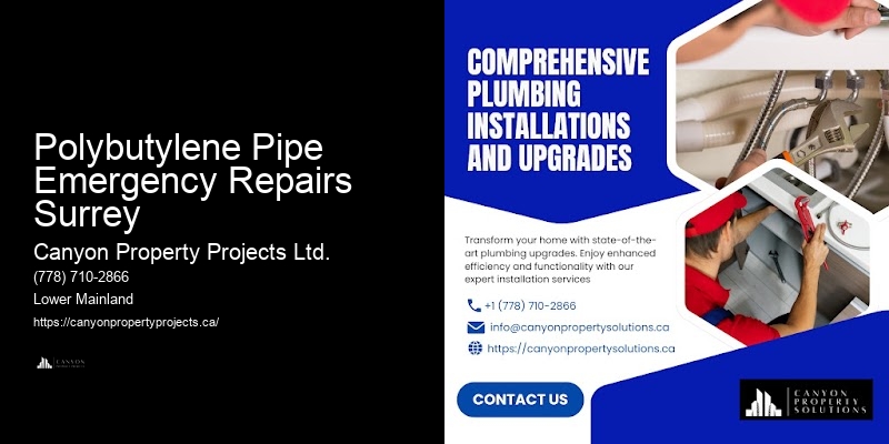 Polybutylene Pipe Emergency Repairs Surrey Plumbing Repair Specialists