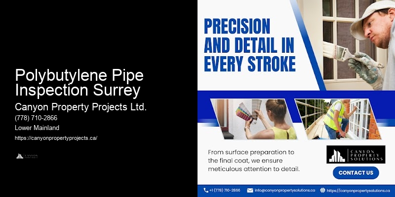 Affordable Rates for Polybutylene Pipe Replacement Polybutylene Pipe Inspection Surrey