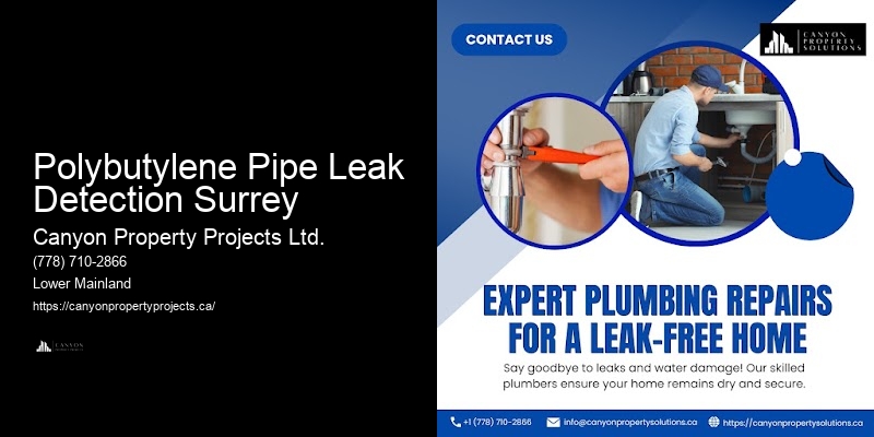 Commercial Polybutylene Pipe Replacement Near Me